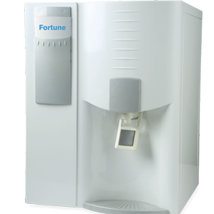 lexus Fortune lexus Fortune