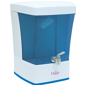 lexus Flora lexus Flora